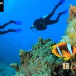 40€ κατάδυση γνωριμίας Scuba Diving με αυτόνομη συσκευή κατάδυσης σε ολιγομελή τμήματα & υπέροχη υποβρύχια φωτογράφηση με την Σχολή Κατάδυσης «Dive Blue Dream»!!
