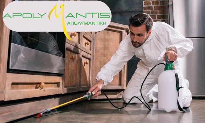 Apolymantis | Αττική