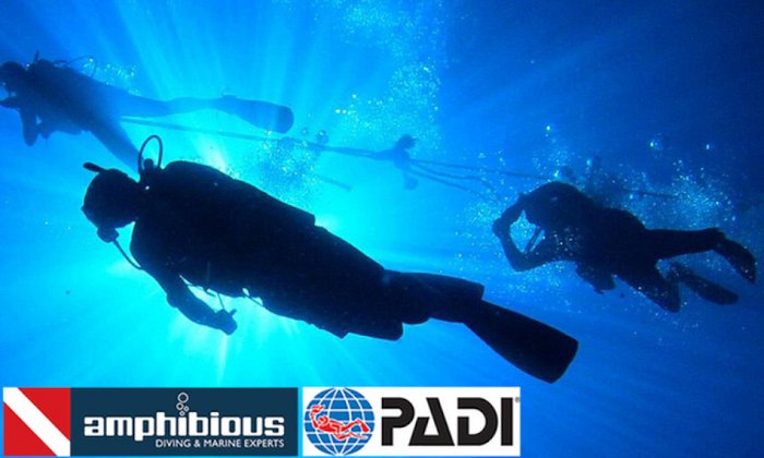 amphibious | Πολλαπλές Περιοχές